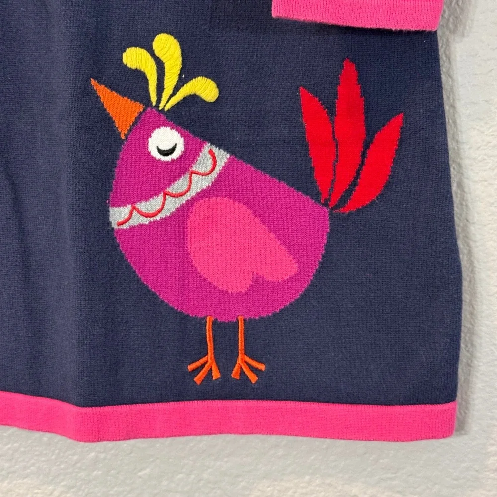Hanna Andersson Size 110 US 5 Multicolor Bird Graphic Colorblock Sweater Dress